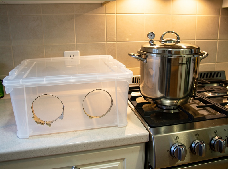 Home mushroom lab still air box made from clear plastic tote with arm holes and a pressure cooker on the kitchen counter beside it