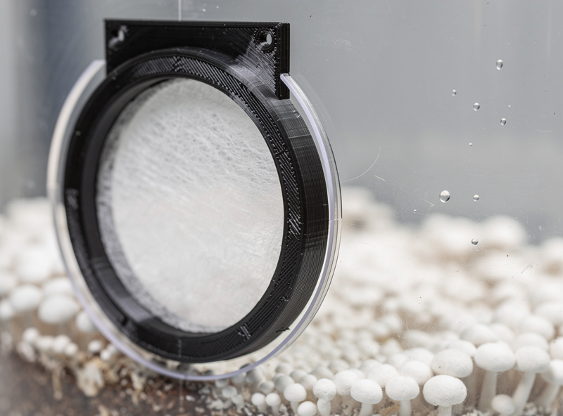 Close up of 3D-printed circular filter holder with synthetic filter patch in place mounted on side of clear plastic mushroom monotub with mycelium visible inside
