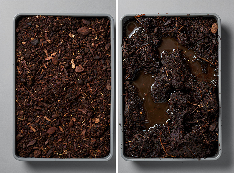 Side-by-side comparison of properly hydrated coco coir substrate on the left versus over-soaked waterlogged coir with standing water on the right