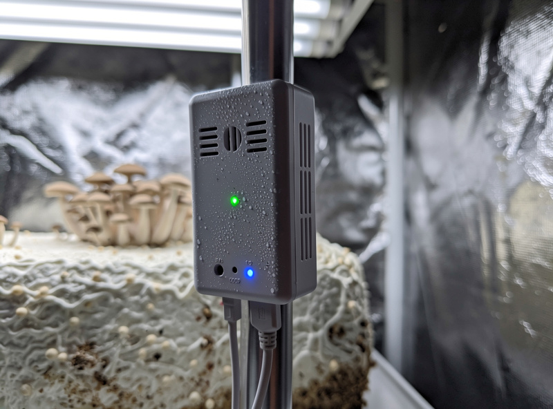 Wireless temperature humidity CO2 sensor mounted inside a mushroom grow tent with fruiting blocks