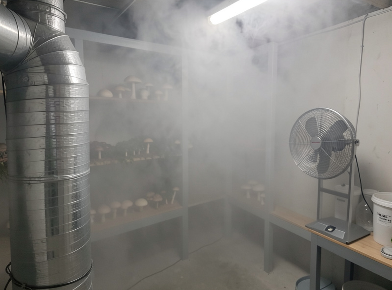 Cool fog being ducted into a mushroom chamber and distributed by a small circulation fan