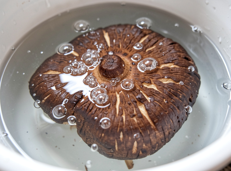 Browned shiitake block submerged in a tub of cold water weighed down for soak-shocking