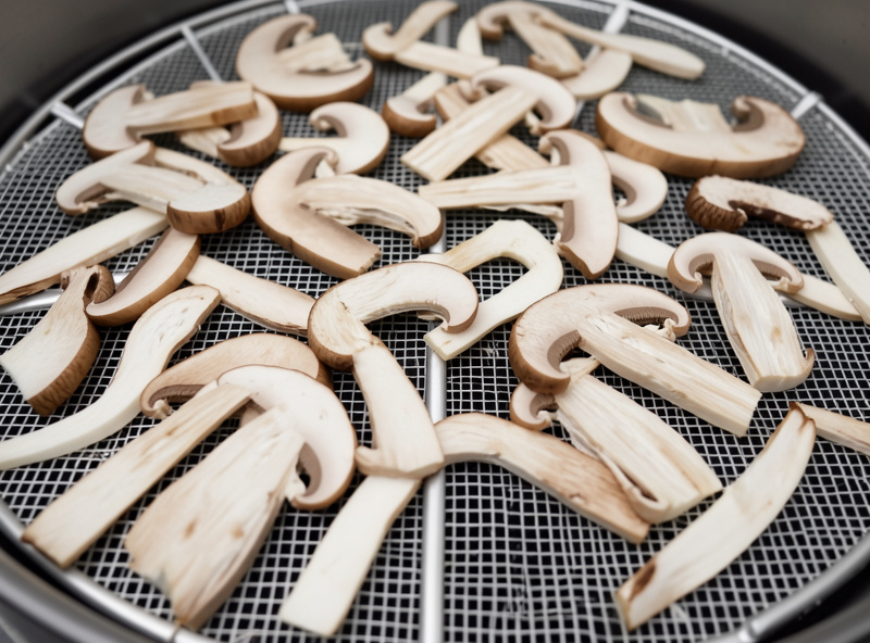 Thinly sliced king oyster and shiitake mushrooms laid out on a dehydrator mesh tray