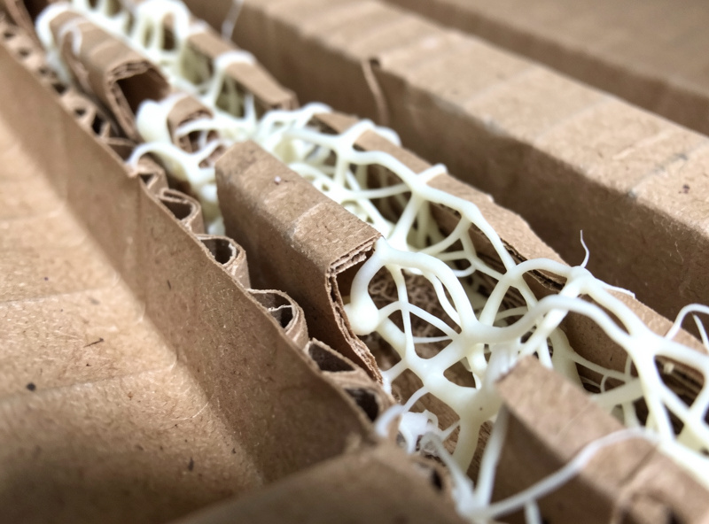 White rhizomorphic oyster mycelium colonizing the ridges of brown corrugated cardboard