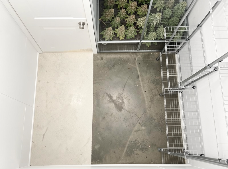 Overhead view of a small grow room showing separation between a clean transfer area and a humid fruiting zone
