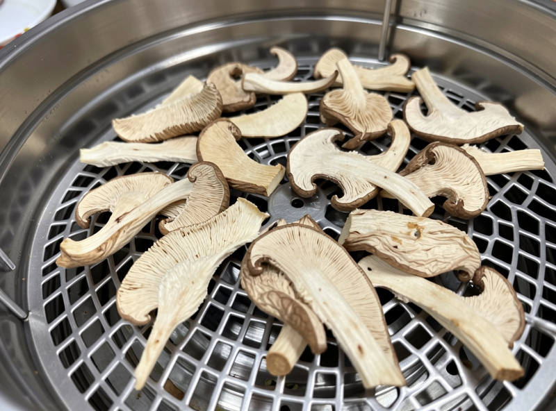 Dried lion's mane and oyster mushroom slices on a stainless dehydrator tray